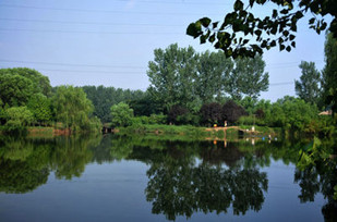 http://wwvw.4000500521.com//upimg/seot/t20161104172420419.jpg