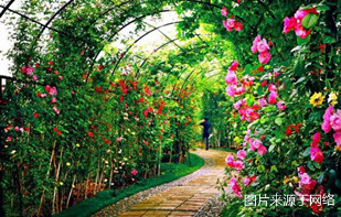 http://wwvw.4000500521.com//upimg/seot/t20161219154823264.jpg