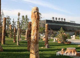 http://wwvw.4000500521.com//upimg/seot/t20190702164554230.jpg